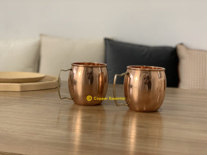 Handmade Plain Copper Mug (D Brass Handle)